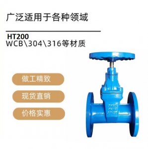 硫酸廠閘閥Z41W-10RL DN50材質(zhì)316L